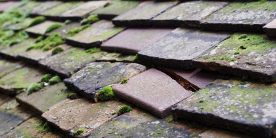 High Littleton roof repair costs